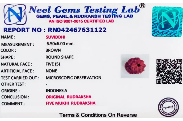 Rudraksha Certificate